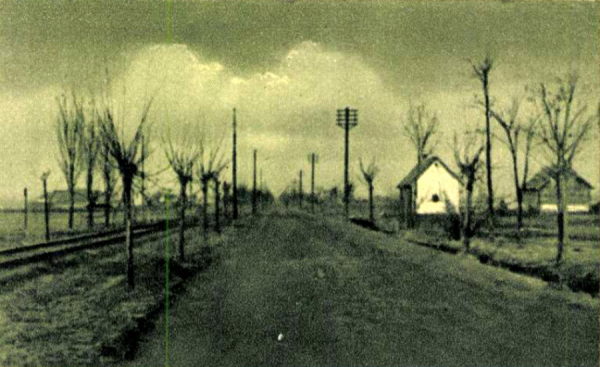 Örkénytábor 1914 után. Utcakép a mai Tartsay útról a vasútállomás felé.