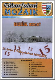 Táborfalvai MOZAIK 2008.