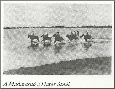 Madarasitó