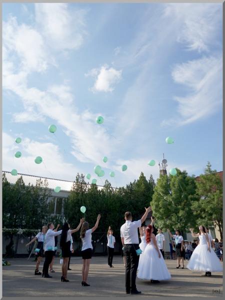 dsc08055.jpg