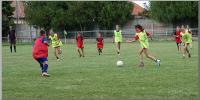 Click to view dsc08616_t1.jpg