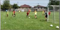 Click to view dsc08628_t1.jpg