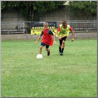 Click to view dsc08660_t1.jpg
