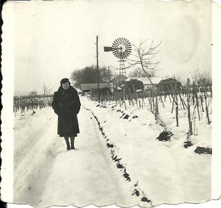 ogt Franciska (Hidy Franciska)