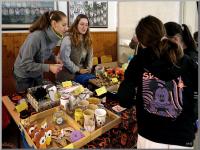 Click to view dsc09874_t1.jpg