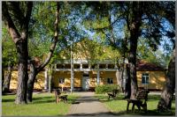 Click to view muvhaz2021_1600_t1.jpg