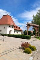 Click to view buzsak1_t1.jpg