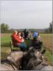 Click to view pa180483_t1.jpg