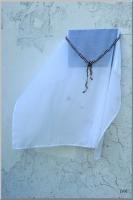 Click to view dsc01199_t1.jpg
