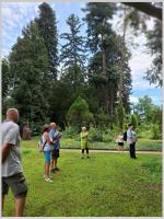 Click to view 45_arboretum_3_t1.jpg
