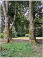 Click to view 46_arboretum_4_t1.jpg