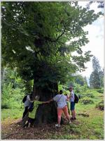 Click to view 52_arboretum_10_t1.jpg