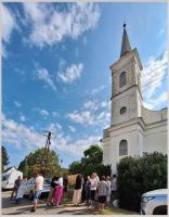 Click to view 76_paprad_1_t1.jpg