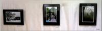 Click to view dsc02825_t1.jpg