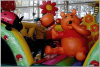 Click to view dsc02860_t1.jpg