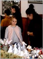 Click to view dsc02895_t1.jpg