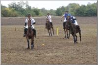 Click to view dsc05170_t1.jpg