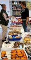 Click to view dsc05349_t1.jpg