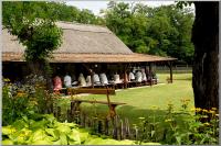 Click to view _dsc4657_t1.jpg
