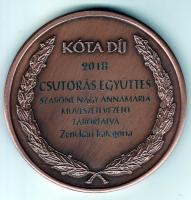 Click to view kota1_t1.jpg