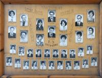 Click to view 1981_8b_t1.jpg