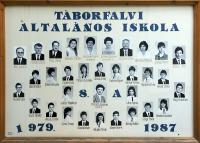 Click to view 1987_8a_t1.jpg