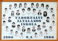 Click to view 1988_8a_t1.jpg