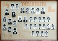 Click to view 1988_8b_t1.jpg