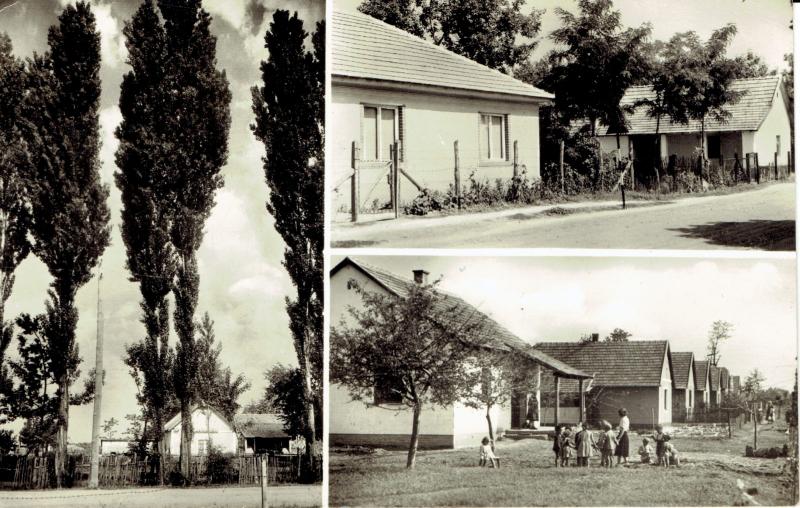 Táborfalva az 1960-as években