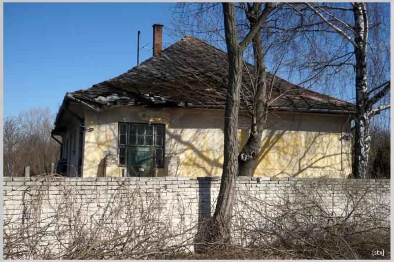 Szarkási Iskola 2022.