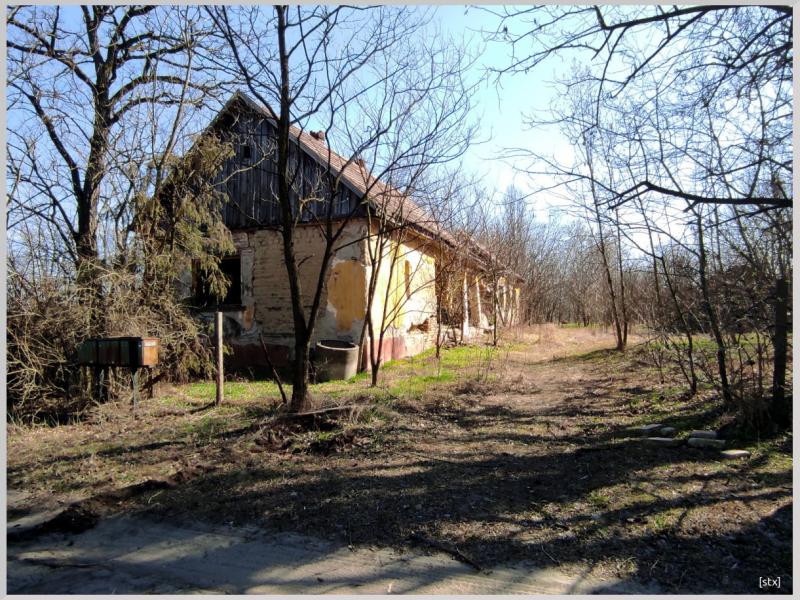 Szobros Iskola 2022.