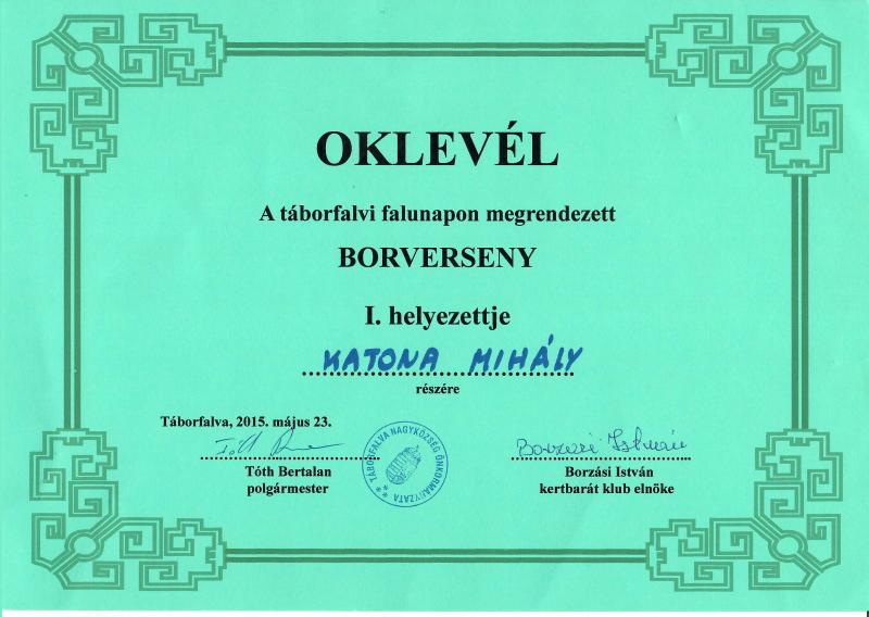 Életutak - Katona Mihályné Ulicska Erzsébet