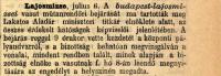 Click to view pesti_hirlap_1889_julius_7_t1.jpg