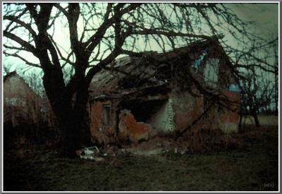 Sponga Tamás - Táborfalvi hangulatok címû fotókiállítása (2009)