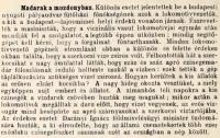 Click to view 5_vadasz_lap_19070305_t1.jpg