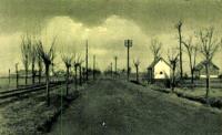 Click to view 6_orkenytabor_1914_utan_t1.jpg