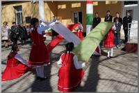 Click to view dsc07507_t1.jpg