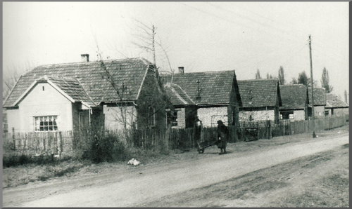 Táborfalva az 1950-es években