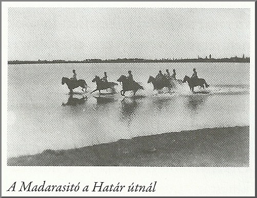 Madarasitó
